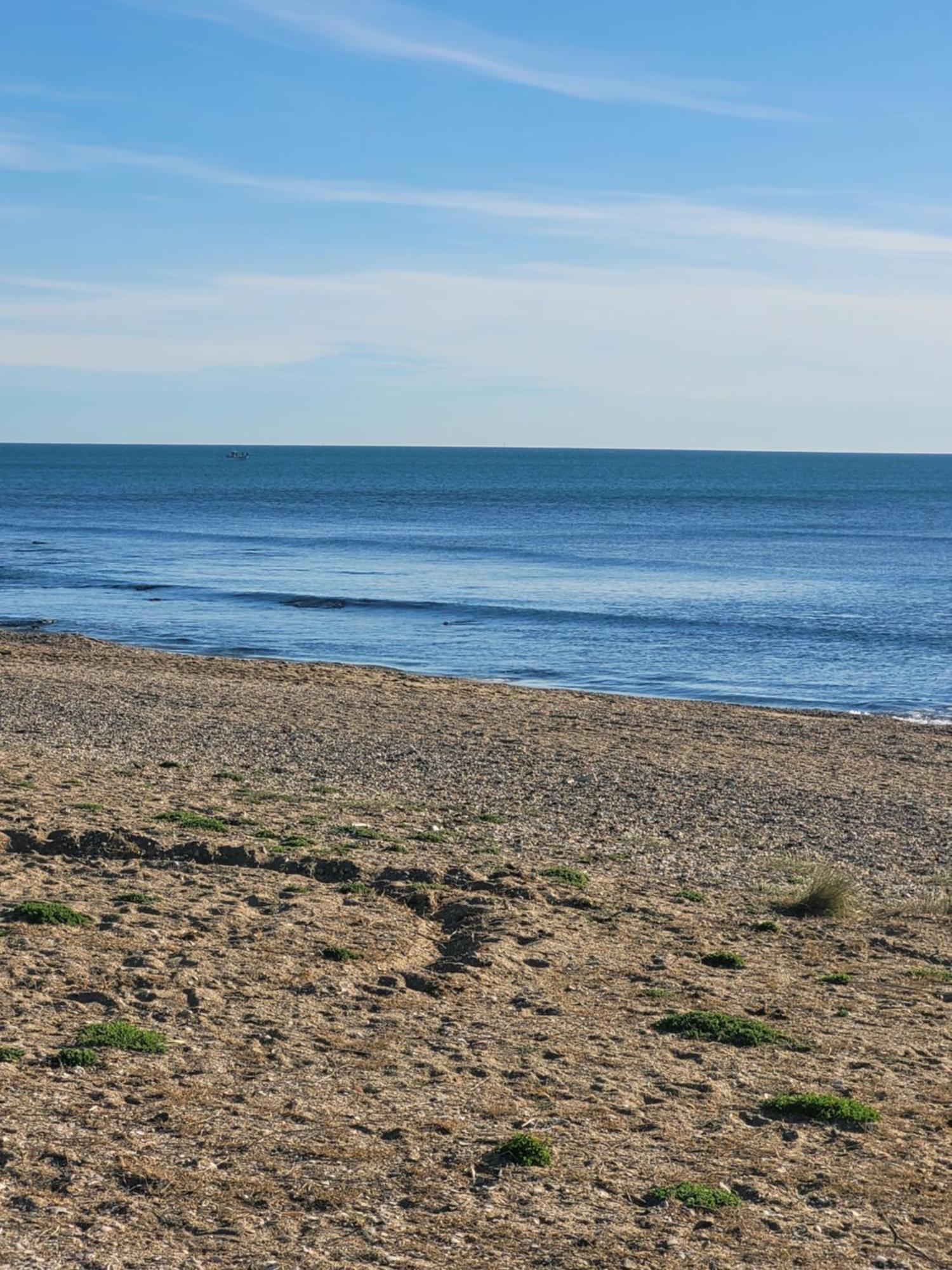 Studio Apartment Agde Exterior foto